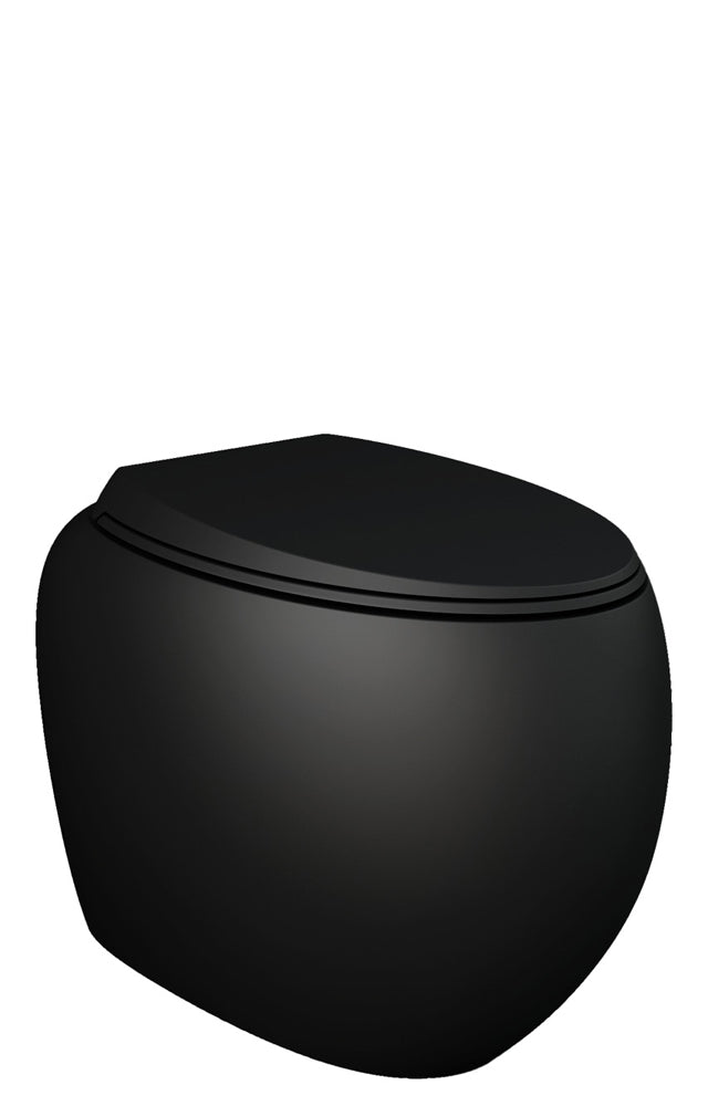 Fienza RAK Cloud Wall-Faced Toilet Suite, Matte Black