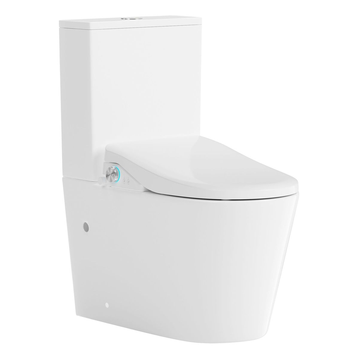 Catania Standard Bidet Seat With Luna Rimless Toilet