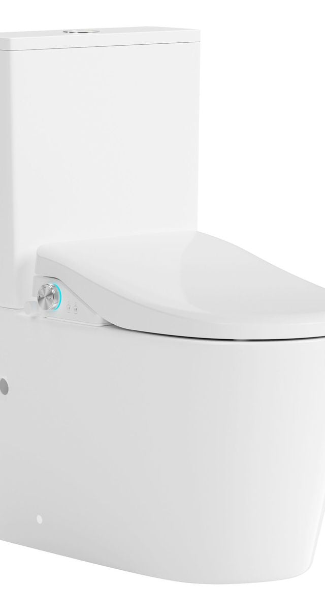 Catania Standard Bidet Seat With Luna Rimless Toilet