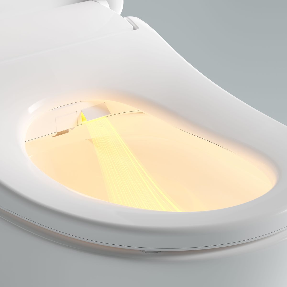 Catania Standard Bidet Seat With Luna Rimless Toilet