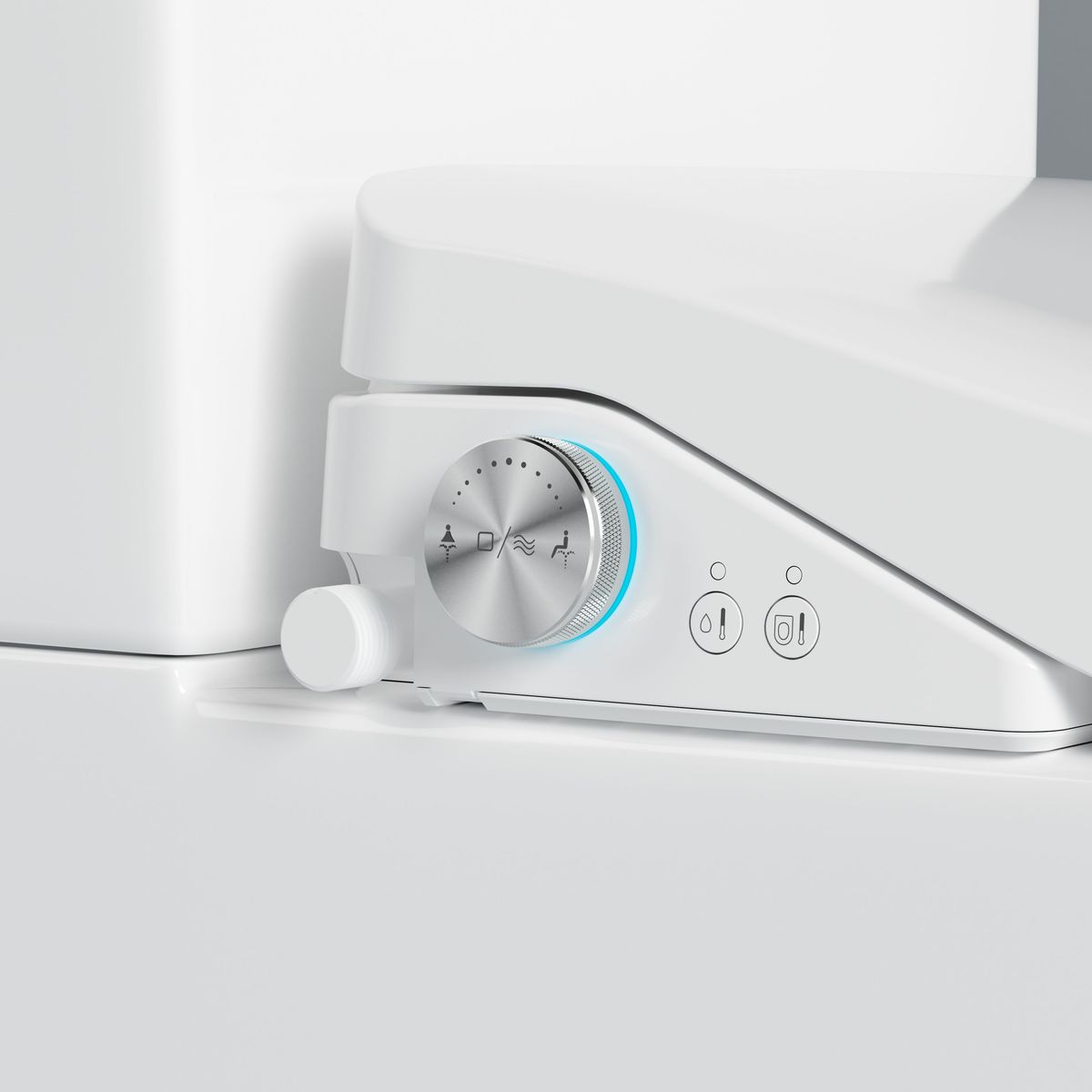 Catania Standard Bidet Seat With Luna Rimless Toilet