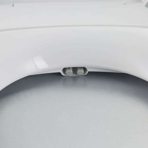 Vera Toilet Bidet Seat