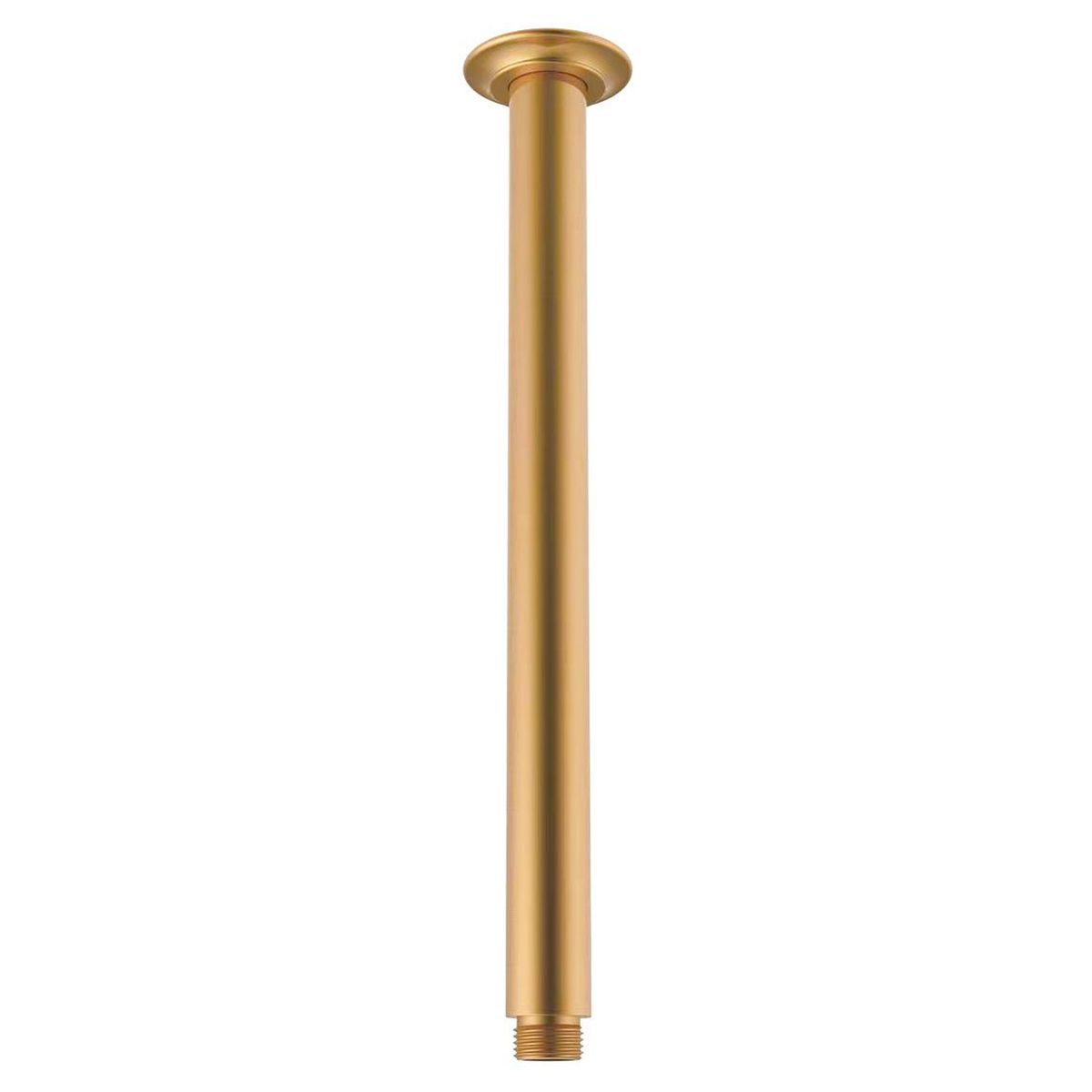 Eternal 300mm Shower Dropper in Brushed Brass (PVD)