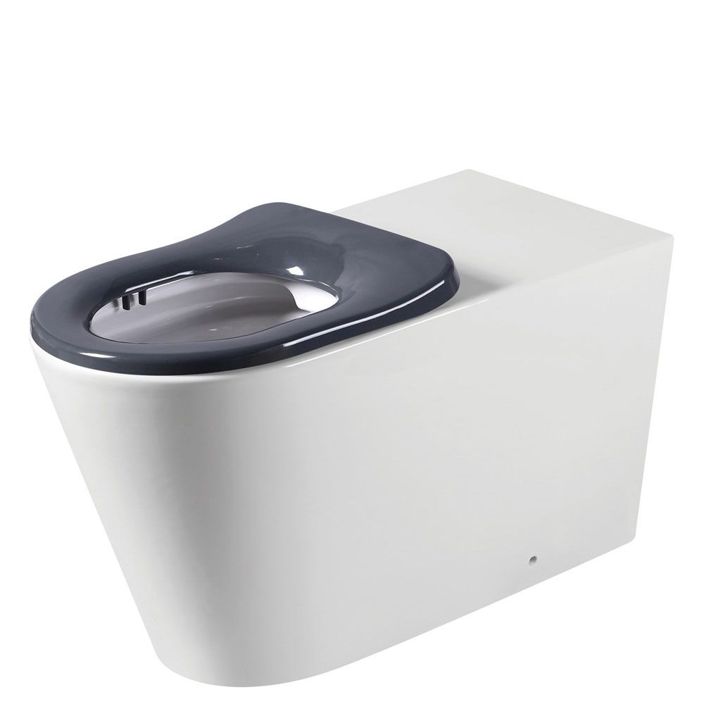 Isabella Care Back-to-Wall Toilet Suite - Pan + Seat + R&T In-Wall Cistern + Care Raised Chrome Flush Buttons, P-Trap - K016G-RT