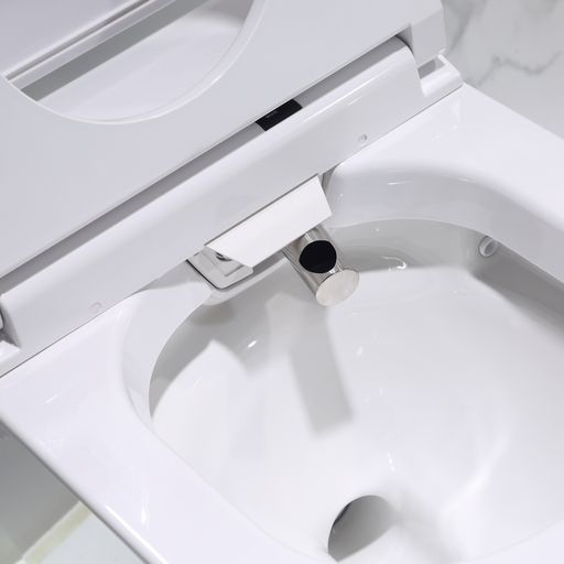 Leca Entire Smart Toilet