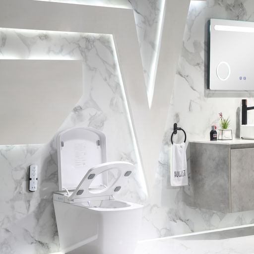 Leca Entire Smart Toilet