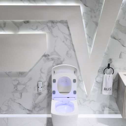 Leca Entire Smart Toilet
