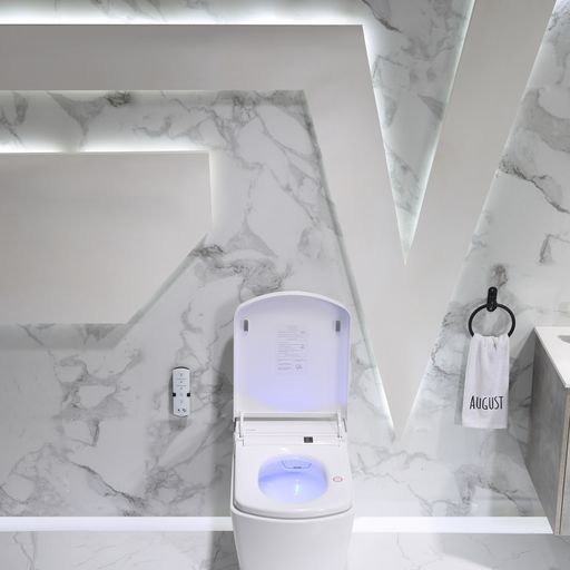 Leca Entire Smart Toilet