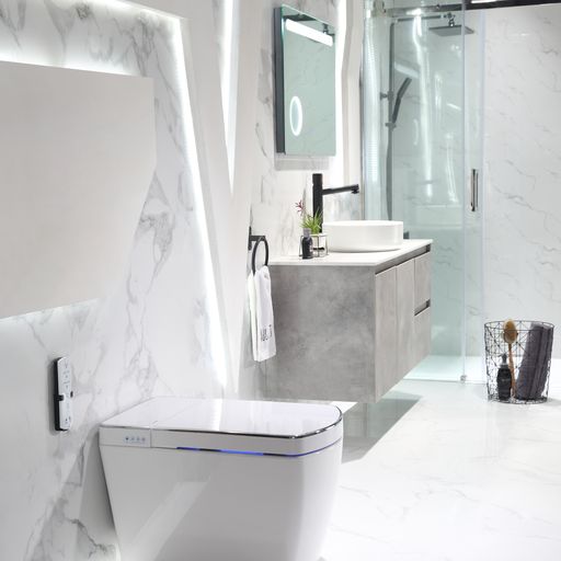 Leca Entire Smart Toilet