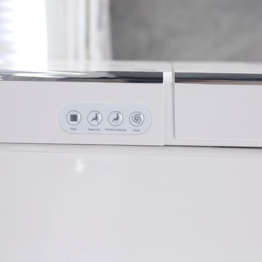 Leca Entire Smart Toilet