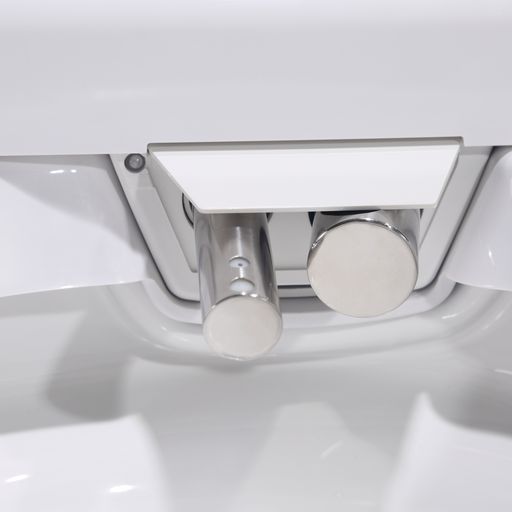 Leca Entire Smart Toilet