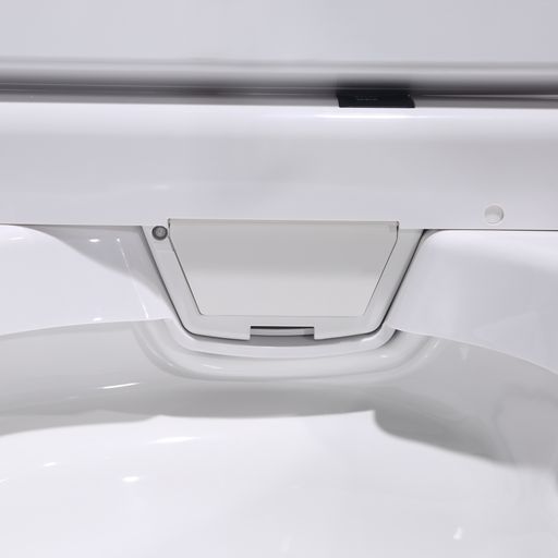 Leca Entire Smart Toilet