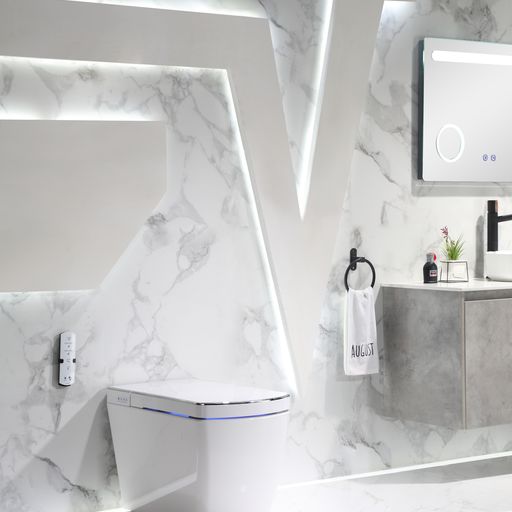 Leca Entire Smart Toilet
