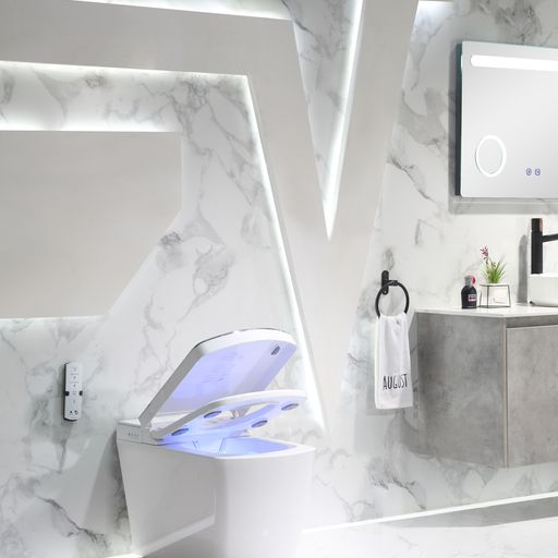 Leca Entire Smart Toilet