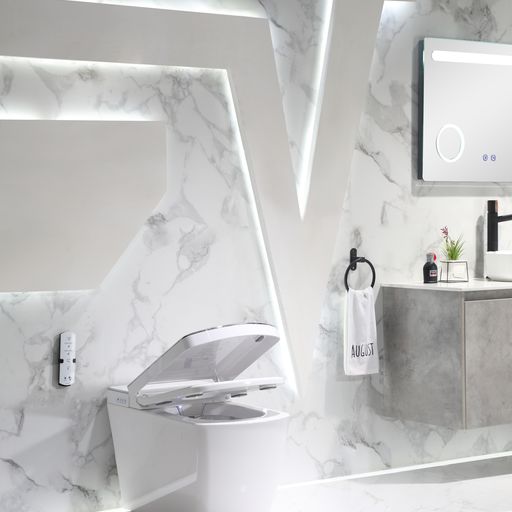 Leca Entire Smart Toilet
