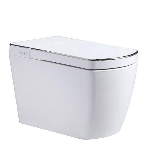 Leca Entire Smart Toilet