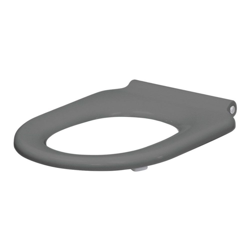 Delta Care Gloss Toilet Seat, Gloss Grey