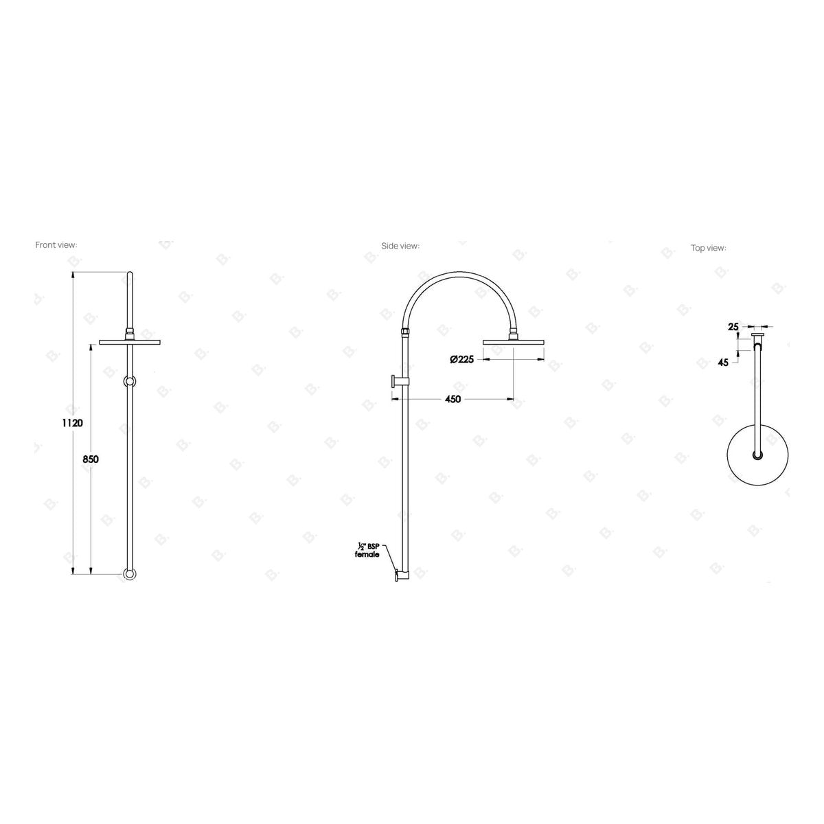 Brodware City Plus Shower Rose & Arm