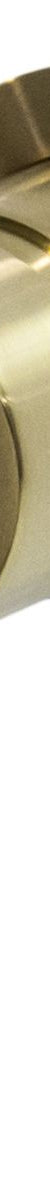 Cioso Shower Mixer Pin Down Trim Kit, Modern Brass