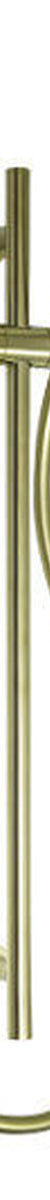 Finesa Rail Shower Modern Brass