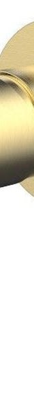 Akemi Shower Mixer Trim Kit, Modern Brass