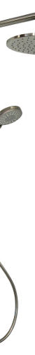 Millennium Akemi 250mm Combination Shower Brushed Nickel