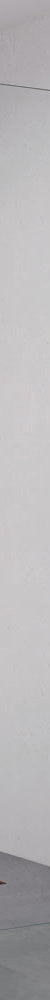 Fienza Curved Edge Fixed Frameless Glass Shower Panel, Brushed Copper, 1000mm