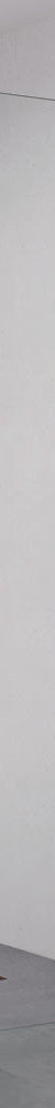 Fienza Rectangular Fixed Frameless Glass Shower Panel, Brushed Copper, 800mm