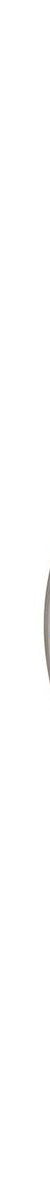 Axia Twin Shower / Wall Mixer - Brushed Nickel