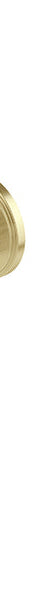 Phoenix Wiltern Wall Top Assembly, Brushed Gold