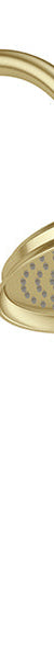 Phoenix Wiltern High-Rise Shower Arm & Rose, Brushed Gold