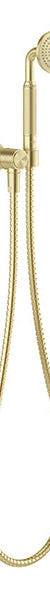 Phoenix Wiltern Hand Shower, Brushed Gold