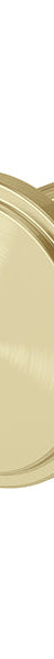 Phoenix Wiltern Robe Hook, Brushed Gold