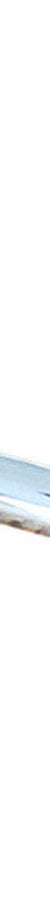Fienza Pin Handle - To Suit 40mm