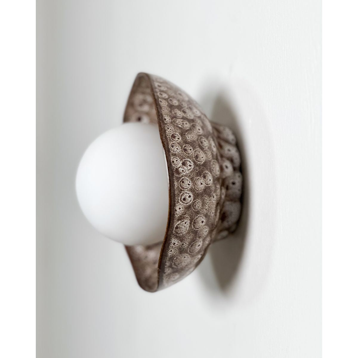 Robert Gordon Shell Wall Sconce-White Ochre