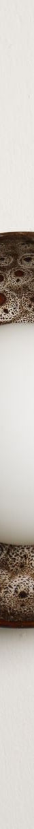 Robert Gordon Shell Wall Sconce-White Ochre