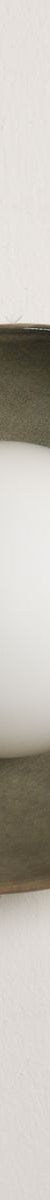Robert Gordon Shell Wall Sconce-Saltbush