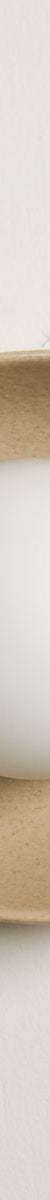 Robert Gordon Shell Wall Sconce-Sand