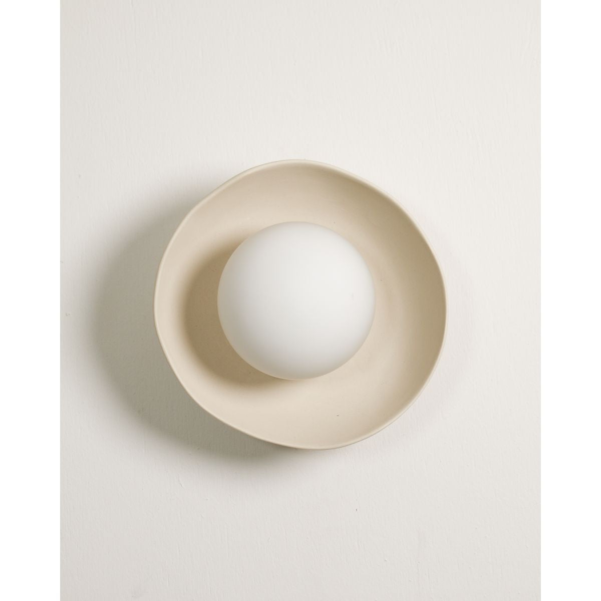 Robert Gordon Shell Wall Sconce-Bone