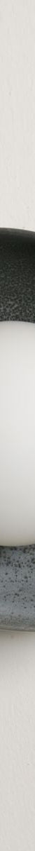 Robert Gordon Shell Wall Sconce-Storm