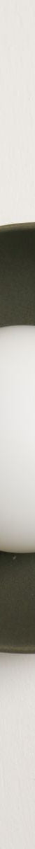 Robert Gordon Shell Wall Sconce-Olive