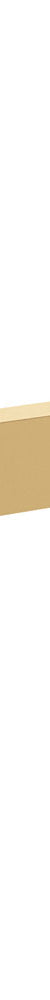 Fienza Tono Swivel Bath Outlet, Urban Brass