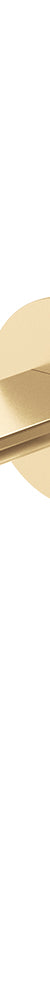 Fienza Empire Slim Basin/Bath Wall Mixer Set Oval Plate 200mm Dress Kit, Urban Brass, Lead Free