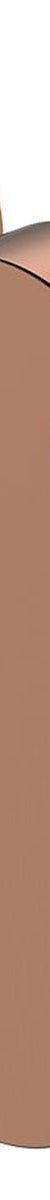 Fienza Empire Slim Wall Diverter Mixer Small Round Plates Horizontal Dress Kit, Brushed Copper, Lead Free