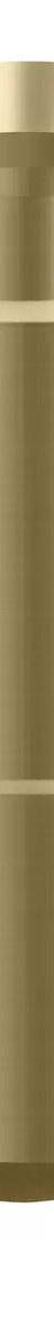 SwitchMix Wall Mixer Body Extension 25mm, Lead Free - Brushed Gold