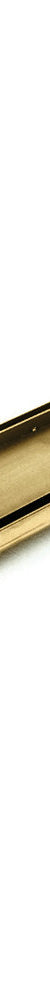 Linear Tile Insert Floor Grate 100mm X 700mm - Brushed Gold