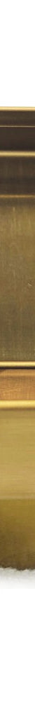 Tile Insert Linear Shower Grate 316-GLD-RGS-100-74 Brushed Gold