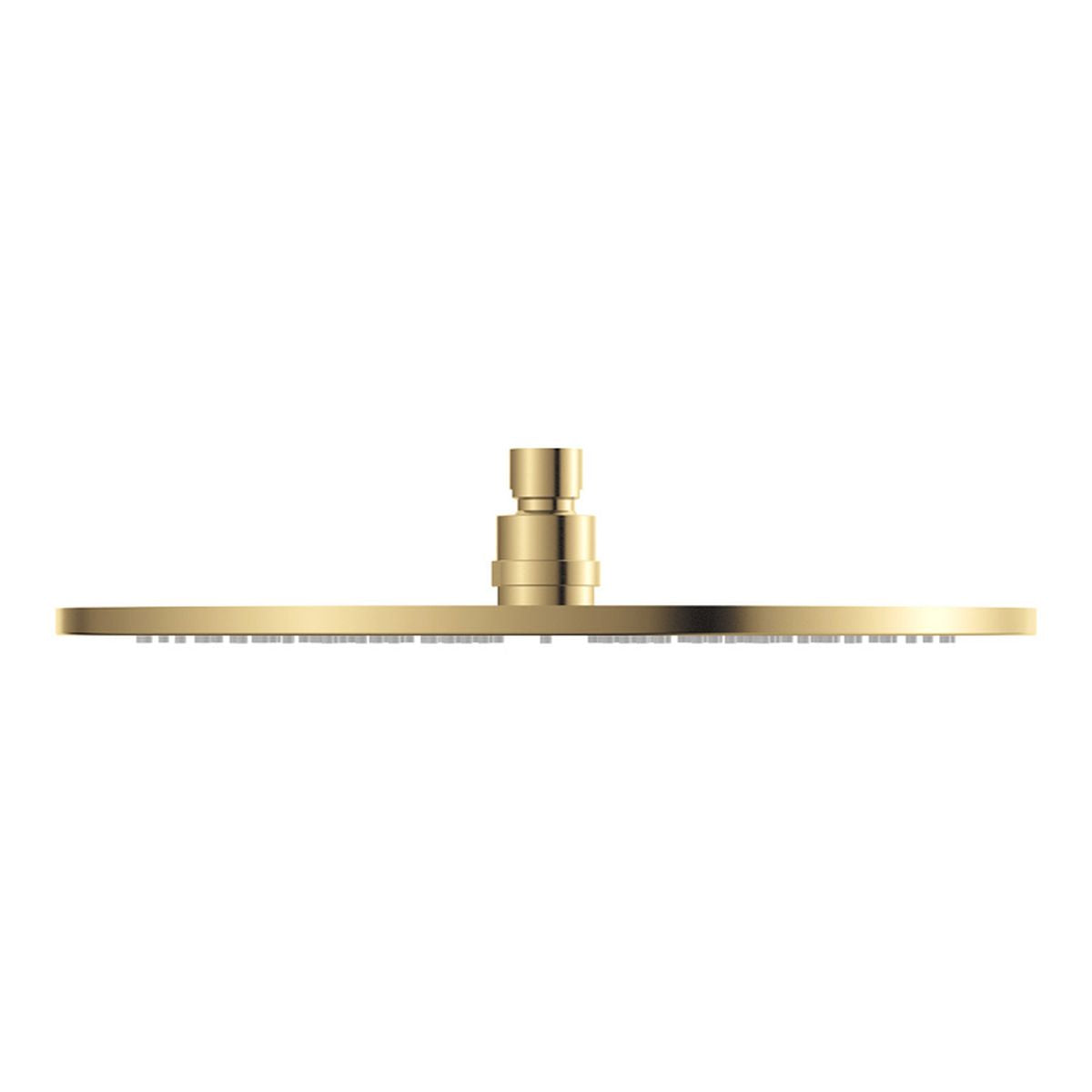 Fienza Starry Shower Head, 300mm, Urban Brass
