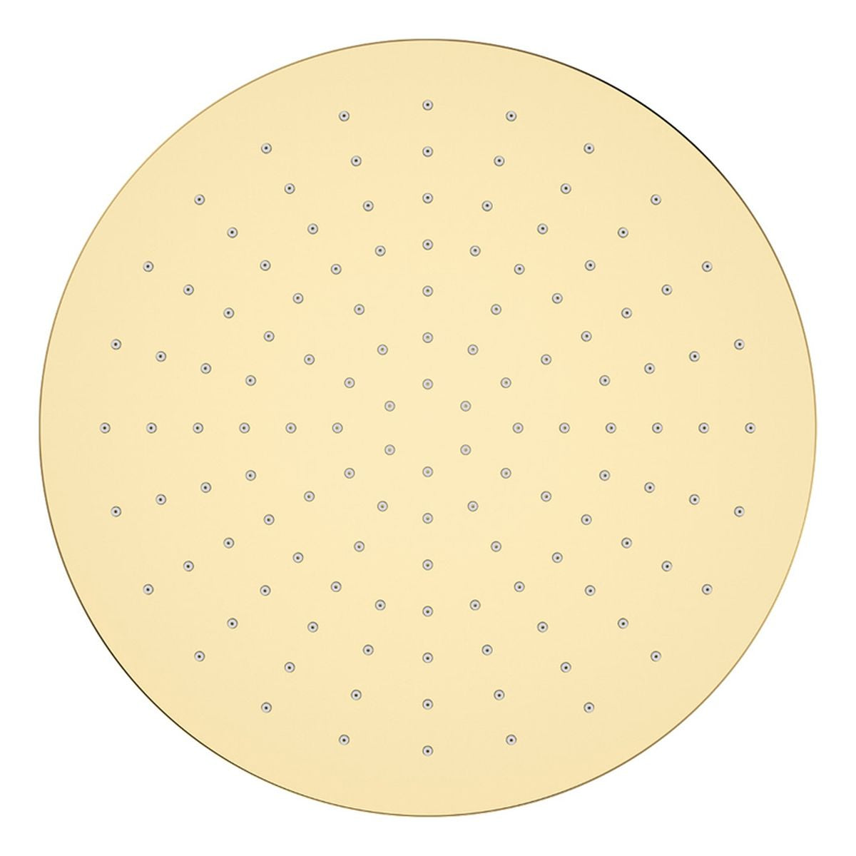 Fienza Starry Shower Head, 300mm, Urban Brass