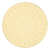 Fienza Starry Shower Head, 300mm, Urban Brass